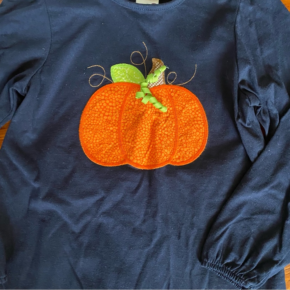 HP| Bailey Boys Fall Pumpkin Matching Set Size 6X - Picture 2 of 8